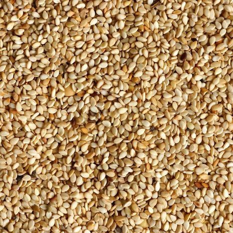 Sesame