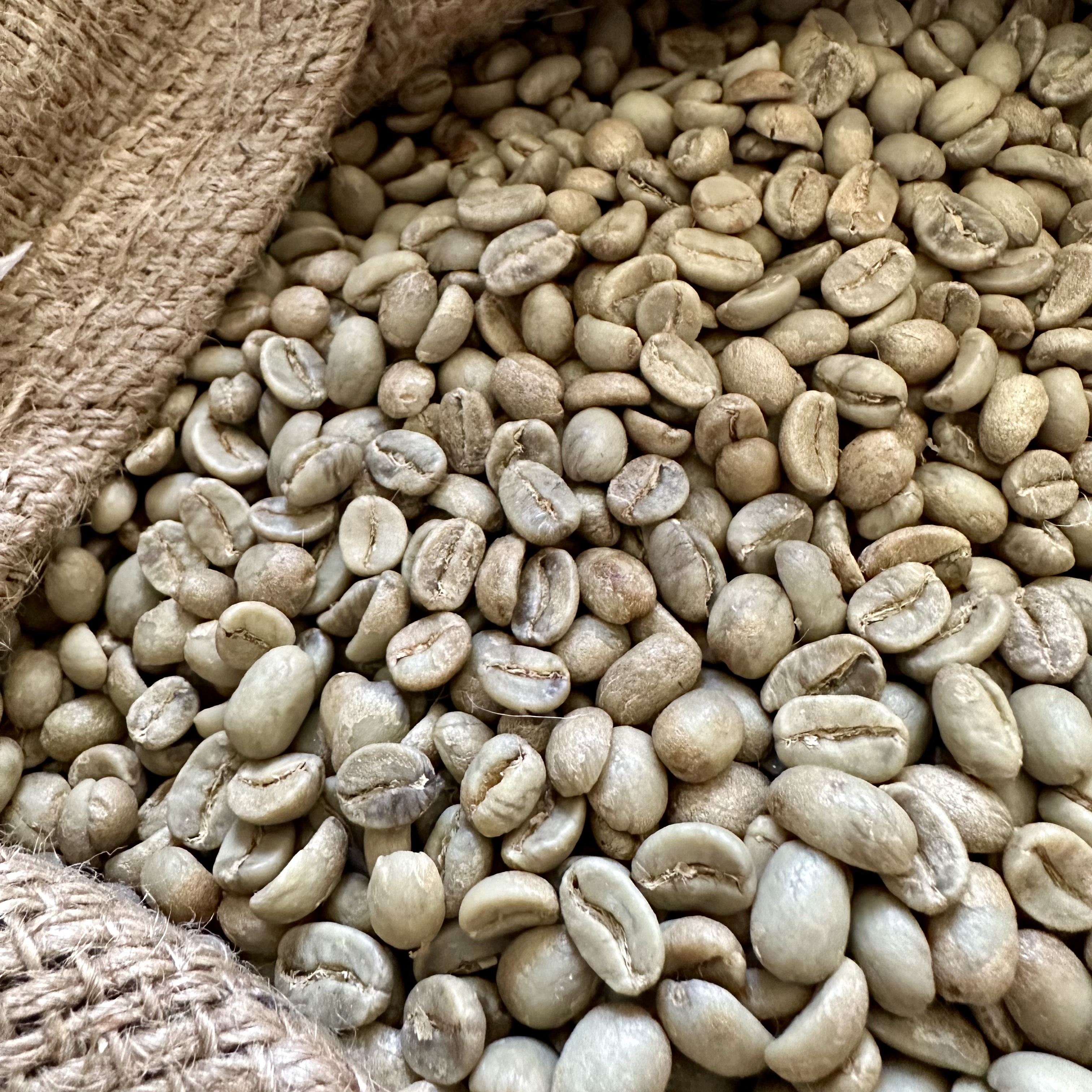 Coffee (Arabica & Robusta)