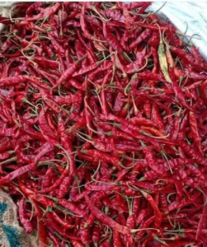 Chilli