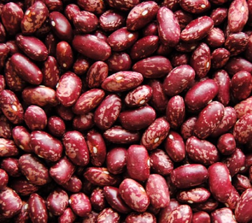 Beans